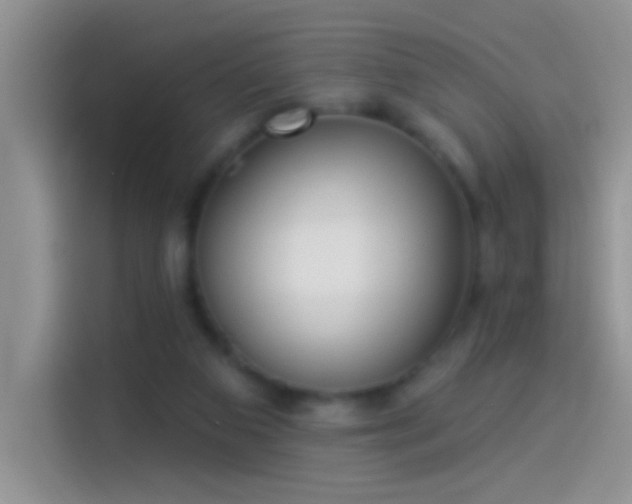 X0000114070113200910131214