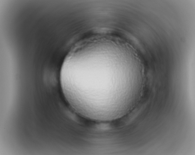 X0000114070114200910131214