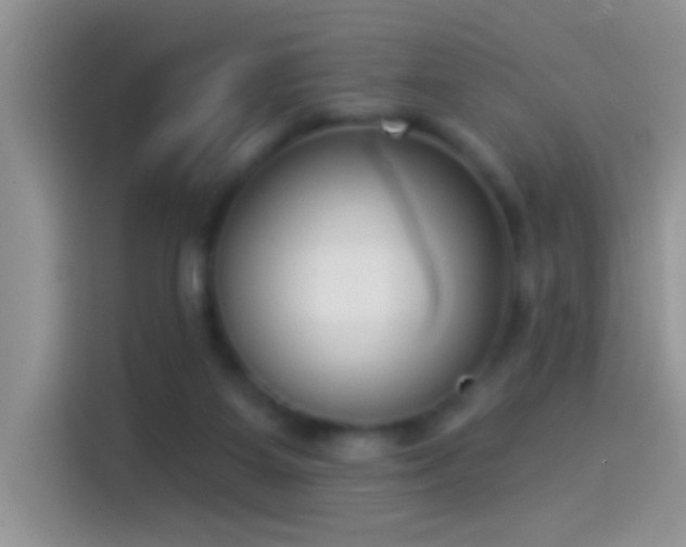 X0000114070115200910131214