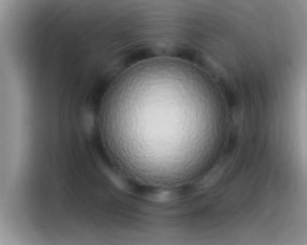 X0000114070130200910131214