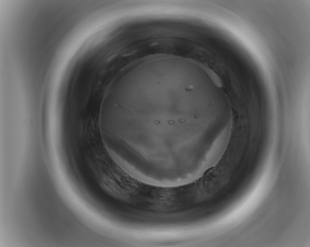 X0000114070143200910131214