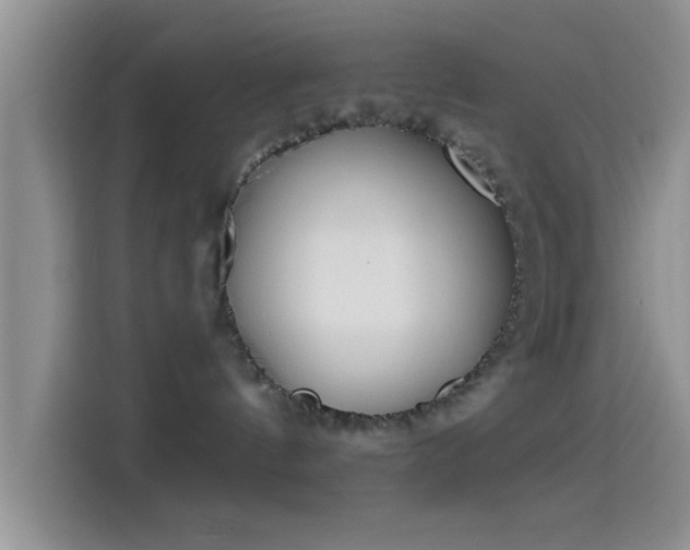 X0000114070144200910131214