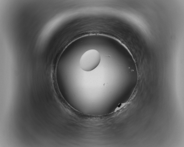 X0000114070146200910131213