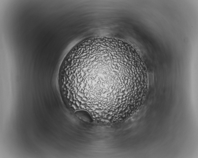 X0000114070147200910131213