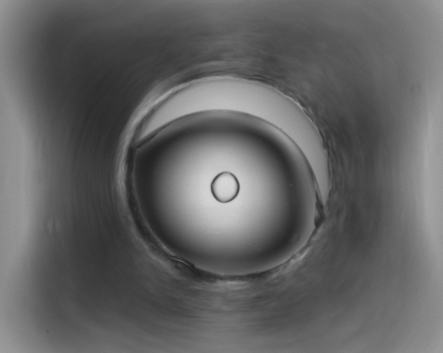 X0000114070150200910131213