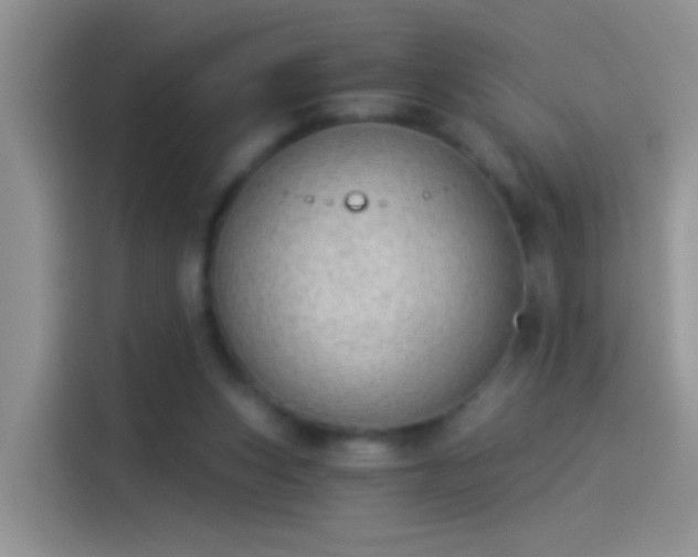 X0000114070159200910131213