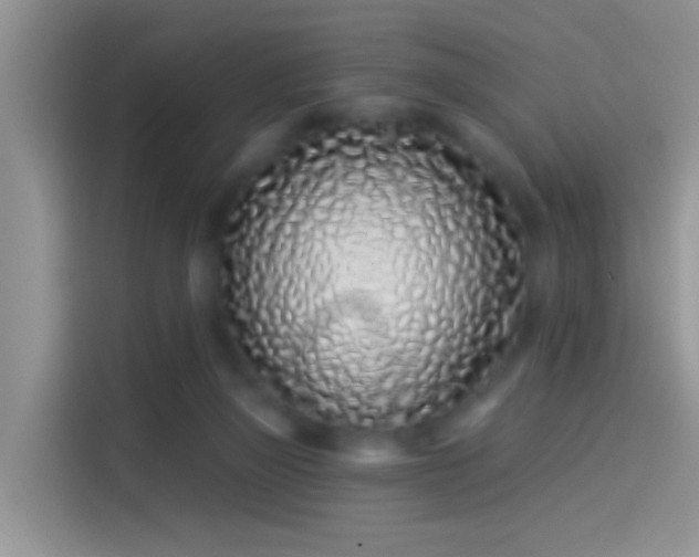 X0000114070165200910131213