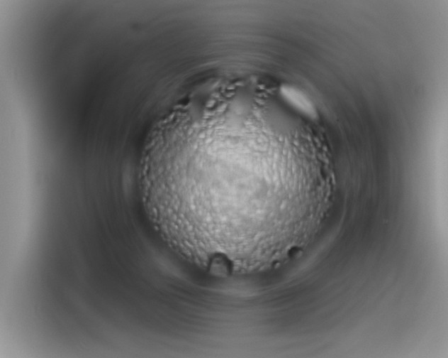 X0000114070169200910131213