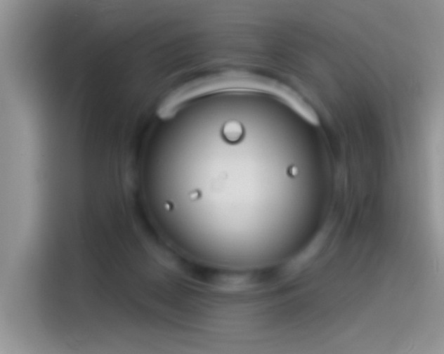 X0000114070170200910131213