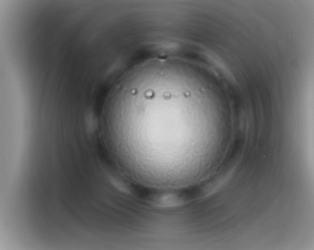 X0000114070173200910131213