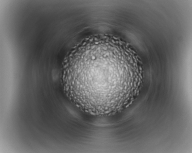 X0000114070177200910131213