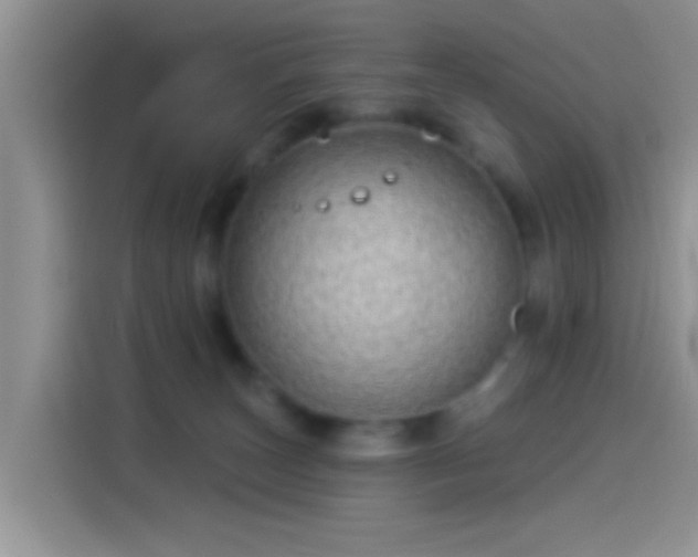 X0000114070179200910131214