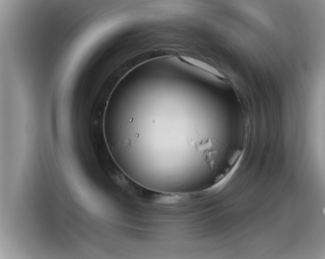 X0000114070190200910131214