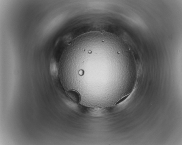 X0000114070191200910131214