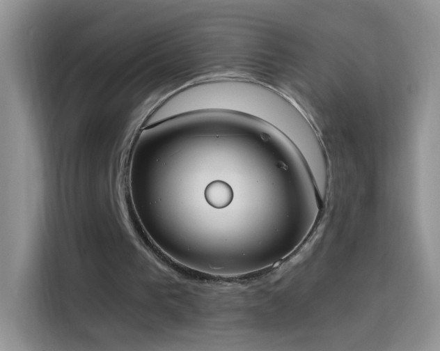 X0000114070193200910131213