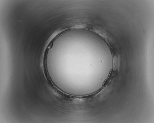 X0000114070195200910131213