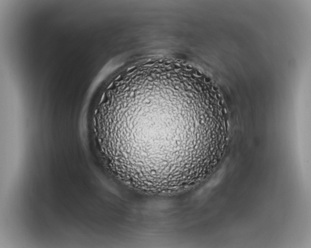 X0000114070198200910131213