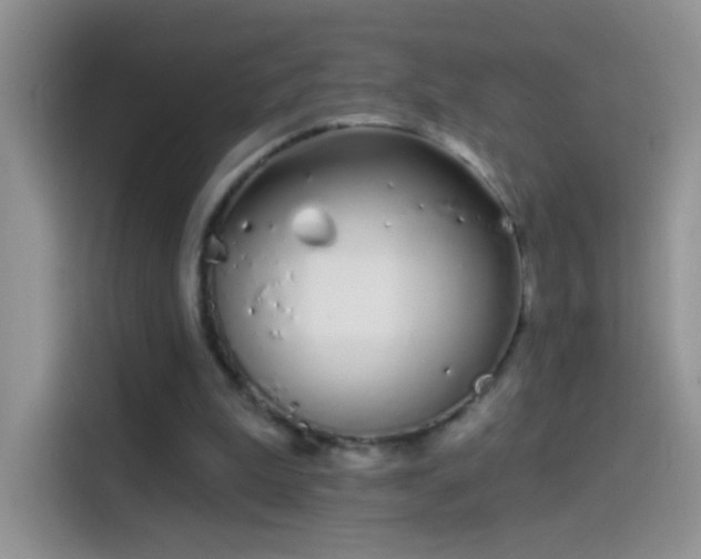 X0000114070199200910131213