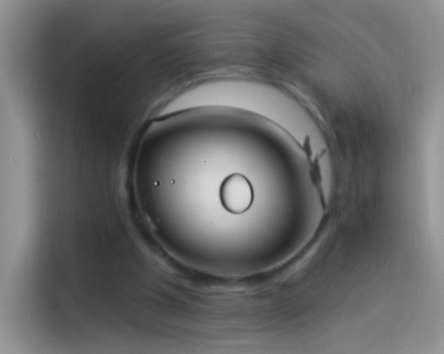 X0000114070201200910131213