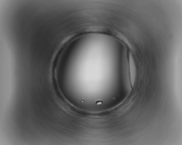 X0000114070203200910131213