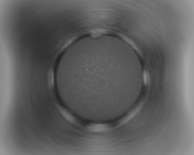 X0000114070205200910131213