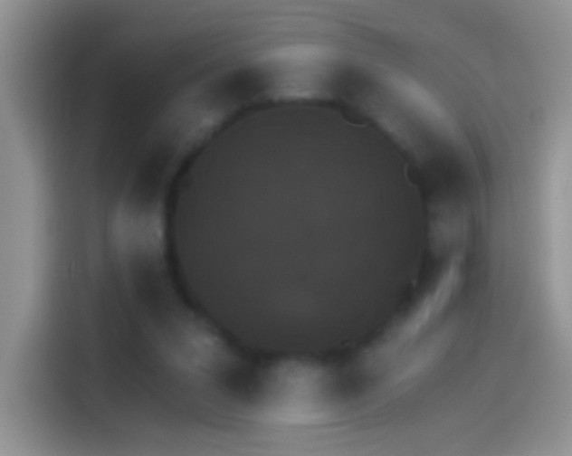 X0000114070207200910131213