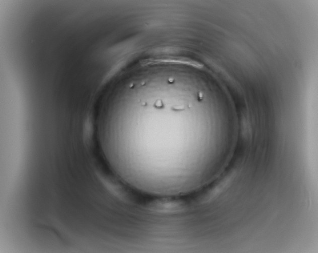 X0000114070208200910131213