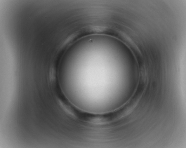 X0000114070212200910131213