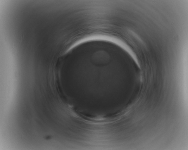 X0000114070219200910131213