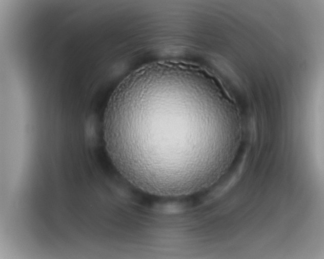 X0000114070228200910131213