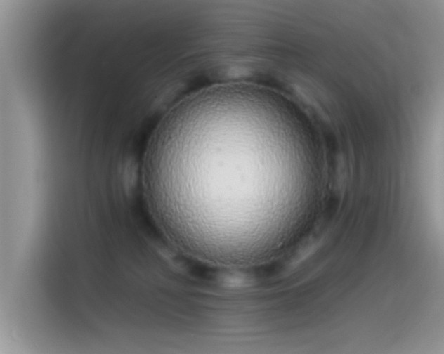 X0000114070230200910131213