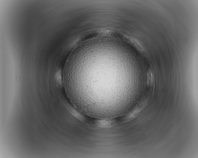 X0000114070238200910131212