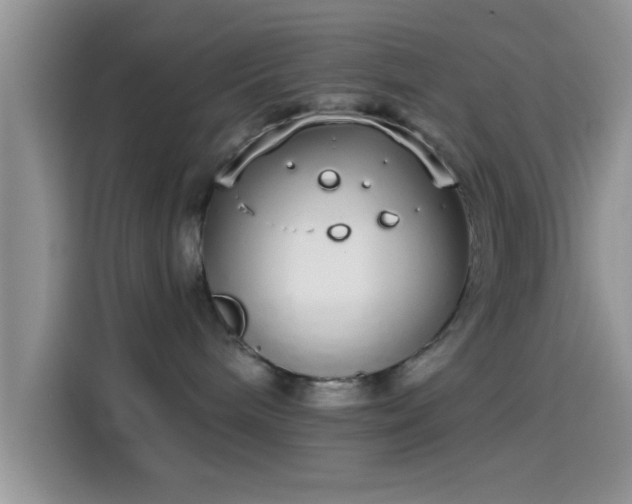 X0000114070240200910131212