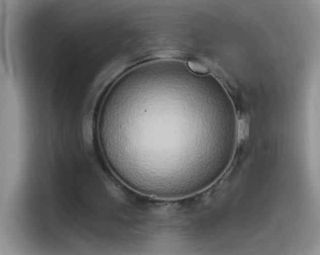 X0000114070243200910131212