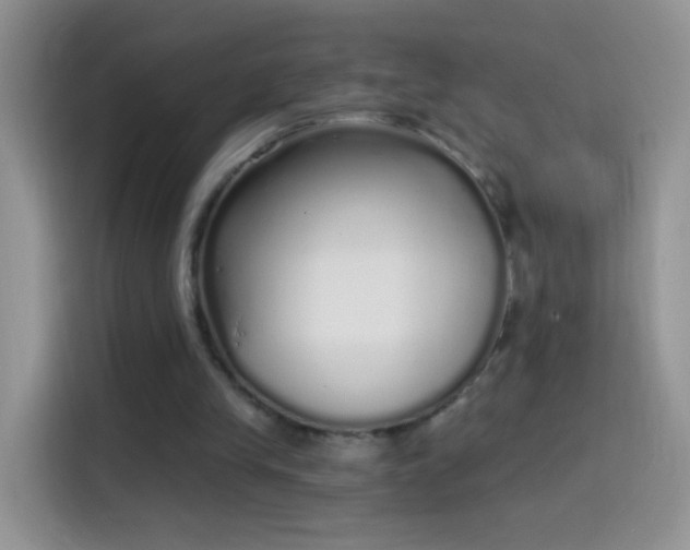 X0000114070245200910131212