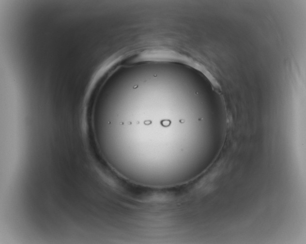 X0000114070248200910131212