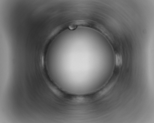 X0000114070253200910131212