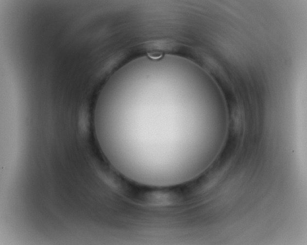 X0000114070255200910131212