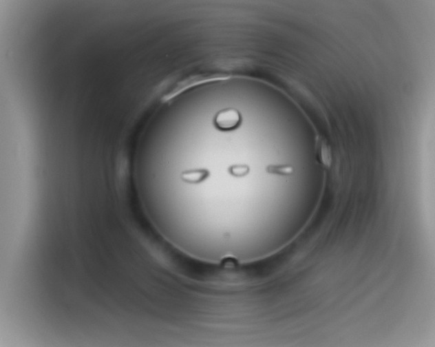 X0000114070260200910131212