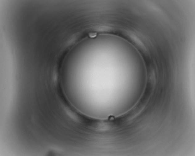 X0000114070261200910131212