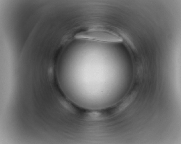 X0000114070265200910131212