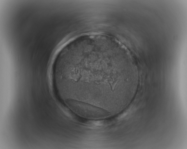 X0000114070295200910131212