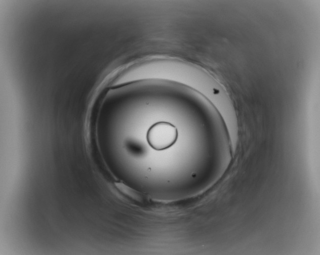 X0000114070296200910131212