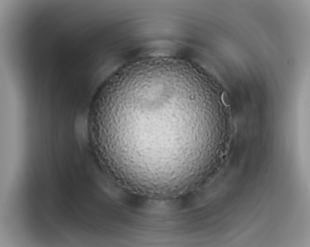 X0000114070297200910131212