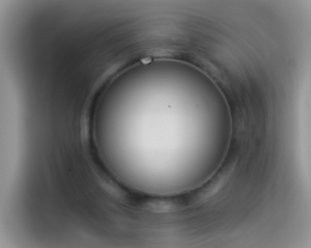 X0000114070299200910131212