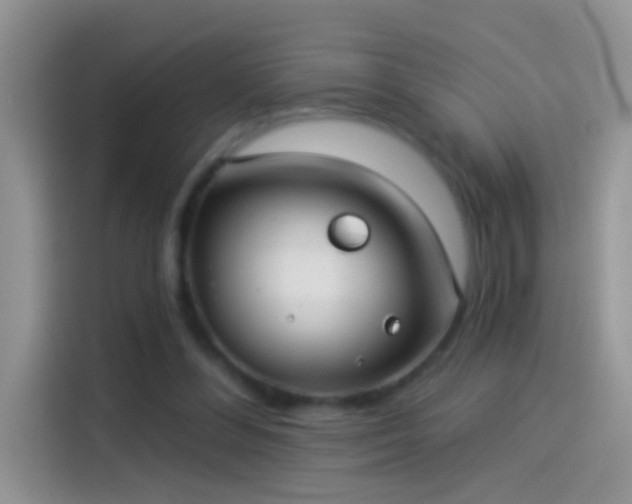 X0000114070300200910131212