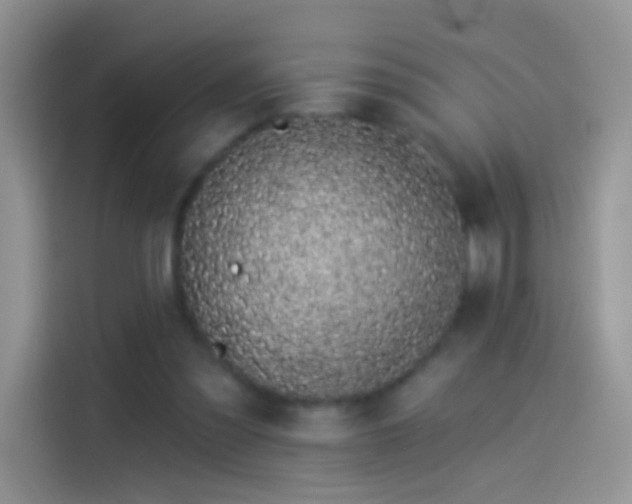 X0000114070301200910131212