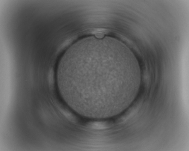 X0000114070303200910131212