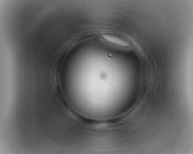 X0000114070313200910131212