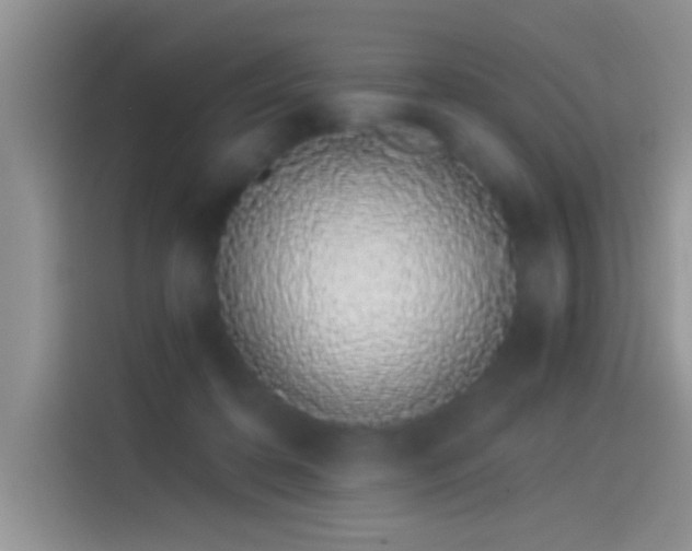 X0000114070316200910131211